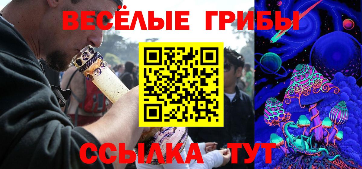 Псилоцибиновые грибы мицелий  Галлюциногенные грибы Psilocybine cubensis  Вход с VPN  Каменка 