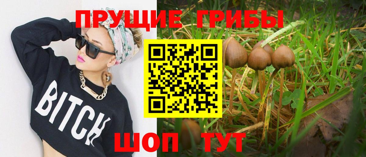 Псилоцибиновые грибы Magic Shrooms Каменка